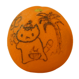 Picture of the author